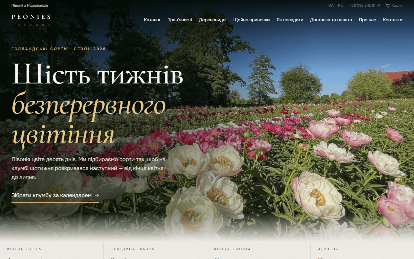 Peonies Holland — пионы из Нидерландов